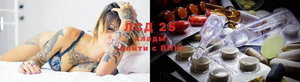 кокс Гусь-Хрустальный