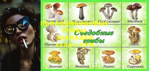 ГАЛЛЮЦИНОГЕННЫЕ ГРИБЫ Вязники