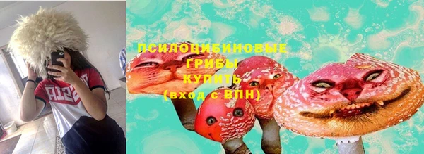 mix Гусев