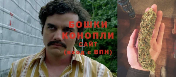 винт Гусиноозёрск