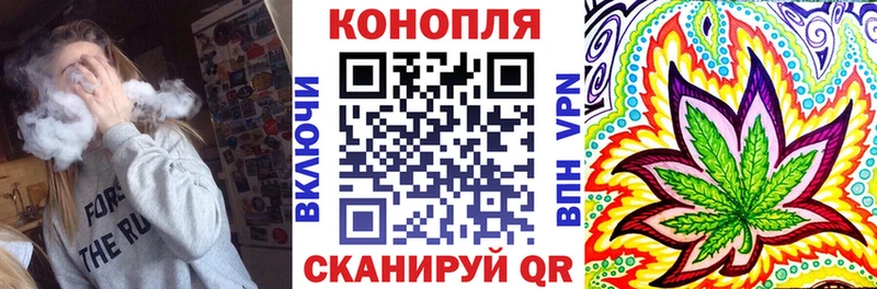 Конопля White Widow  как найти наркотики  Бородино 